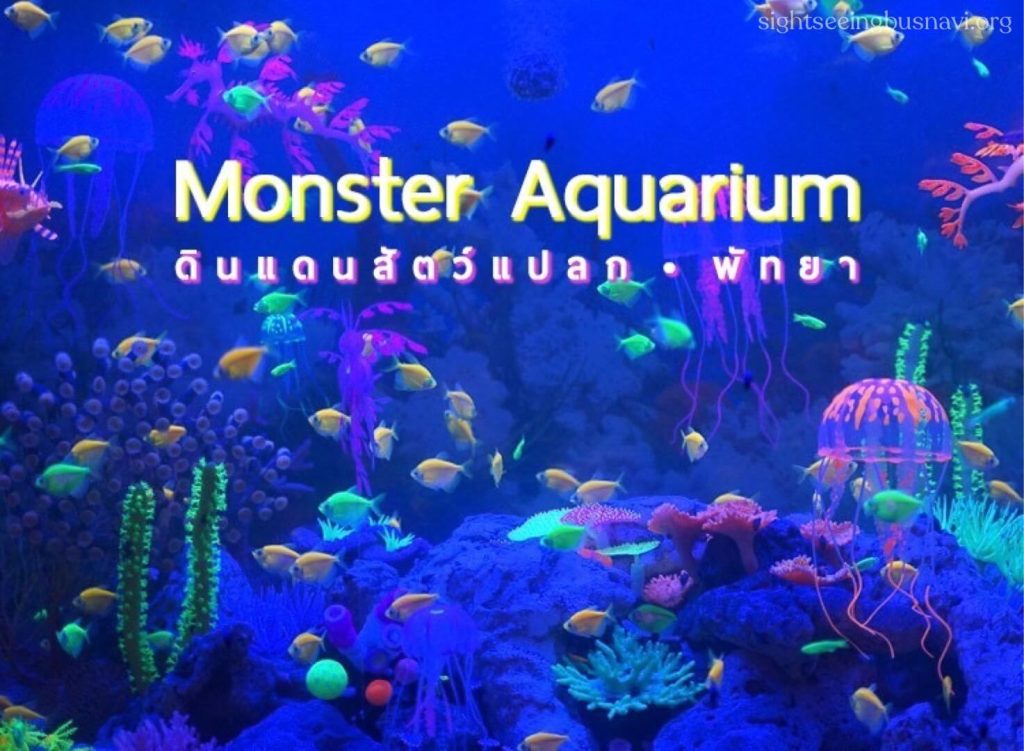 Monster Aquarium Pattaya เป็นแหล่งรวมของปลาและสัตว์น้ำจืด ทั้งสัตว์พิเศษและสัตว์หายากทั้งไทยและต่างประเทศ เพลิดเพลินให้หนำใจ